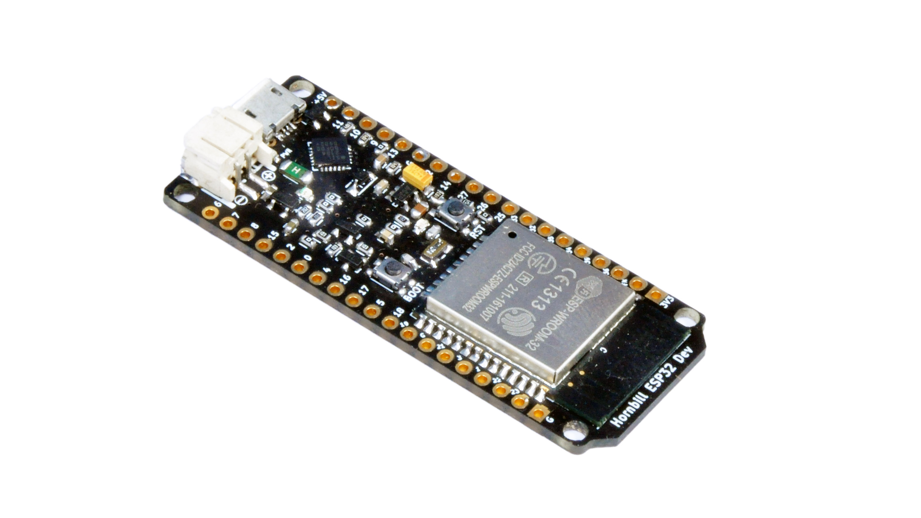 Hornbill esp32 dev.jpg